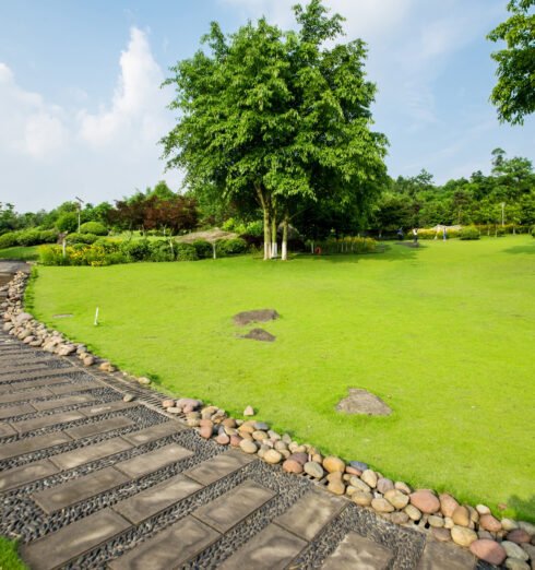 Upcoming Landscaping Trends in Abu Dhabi 2025