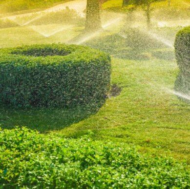 Automatic garden irrigation system watering green garden. Spraying water from a lawn sprayers on a sunny summer day.