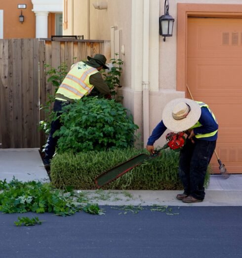 Best Garden Maintenance Company in Abu Dhabi
