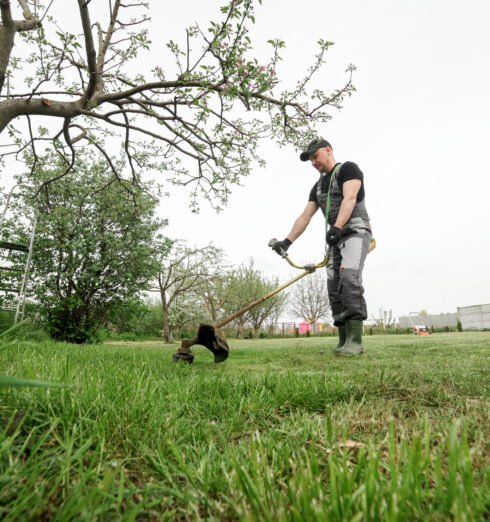 Best Garden Maintenance Company in Abu Dhabi