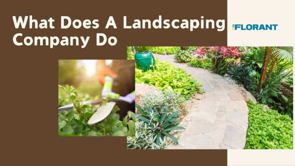 What does a landscaping company do