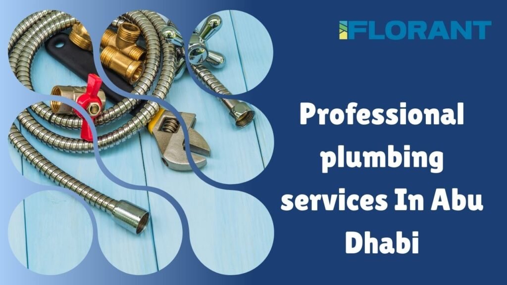 professional plumbing services in Abu Dhabi