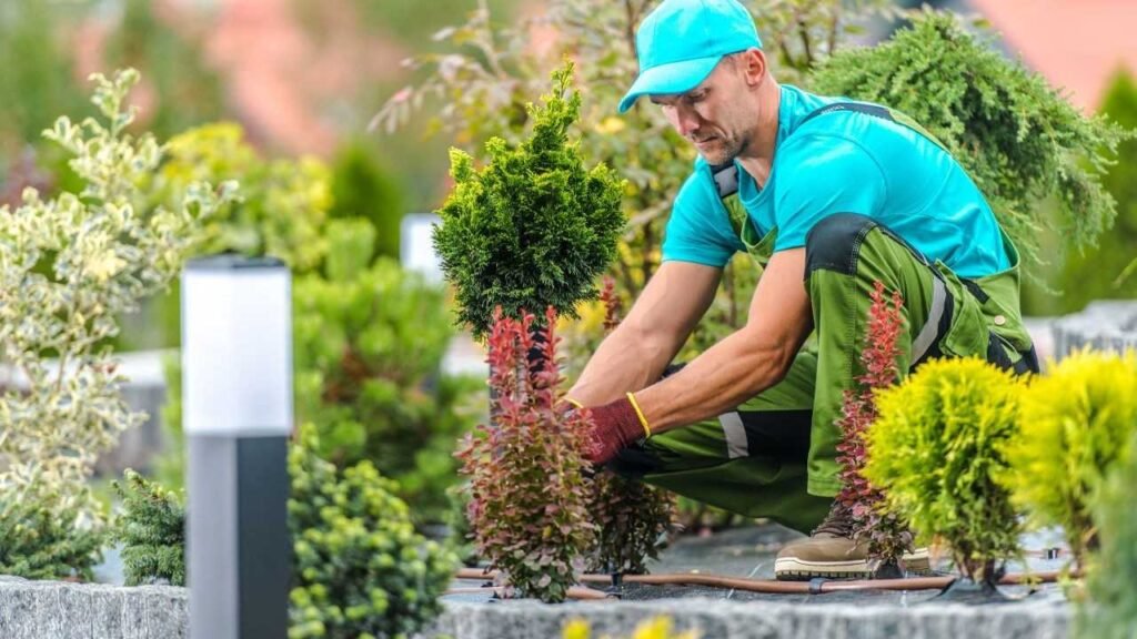 Garden Services Abu Dhabi